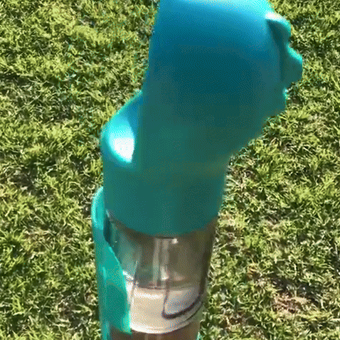 Pawmigo™| 3-in-1 Hydration Kit For Your Pet